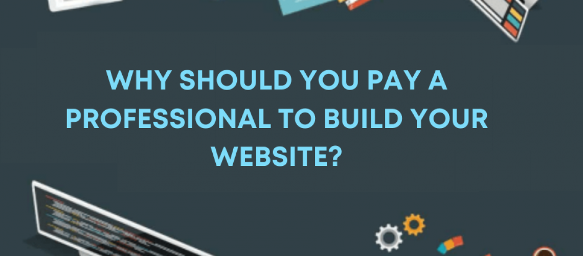 Why should you pay a professional to build your website_